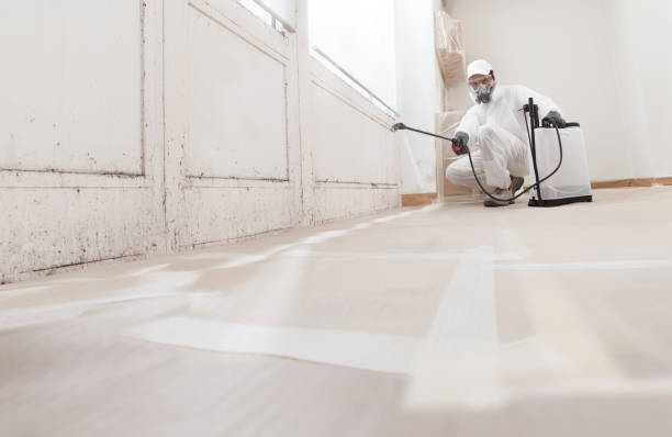 24/7 Emergency Commercial Mold Remediation experts in Warrington, PA