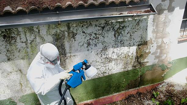 Top rated local Commercial Mold Remediation specialists in Warrington, PA